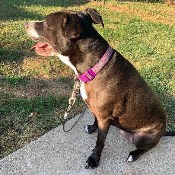 Meet your Posher, Teressia - Picture 4 of 10